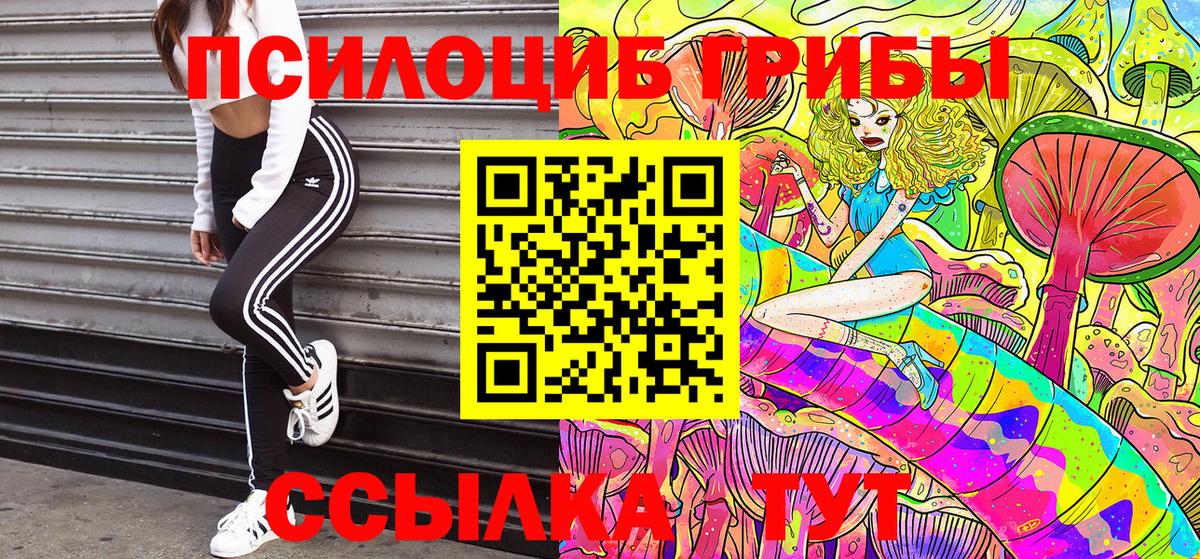 Псилоцибиновые грибы MAGIC MUSHROOMS  Вход с VPN  Ачхой-Мартан 